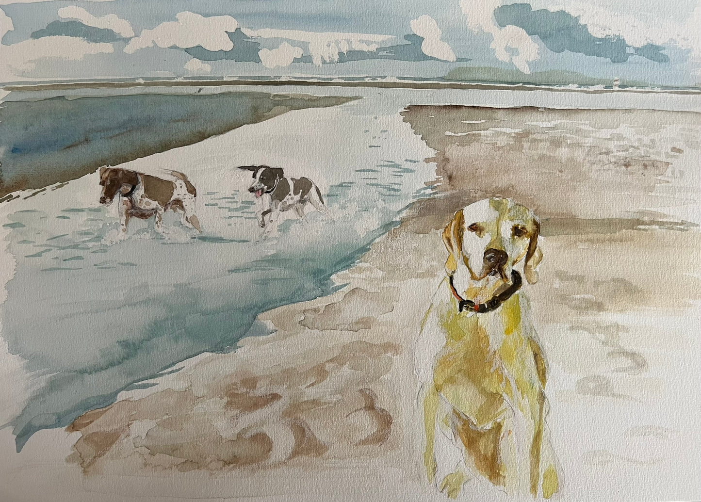 SOLD Holly the Pointer