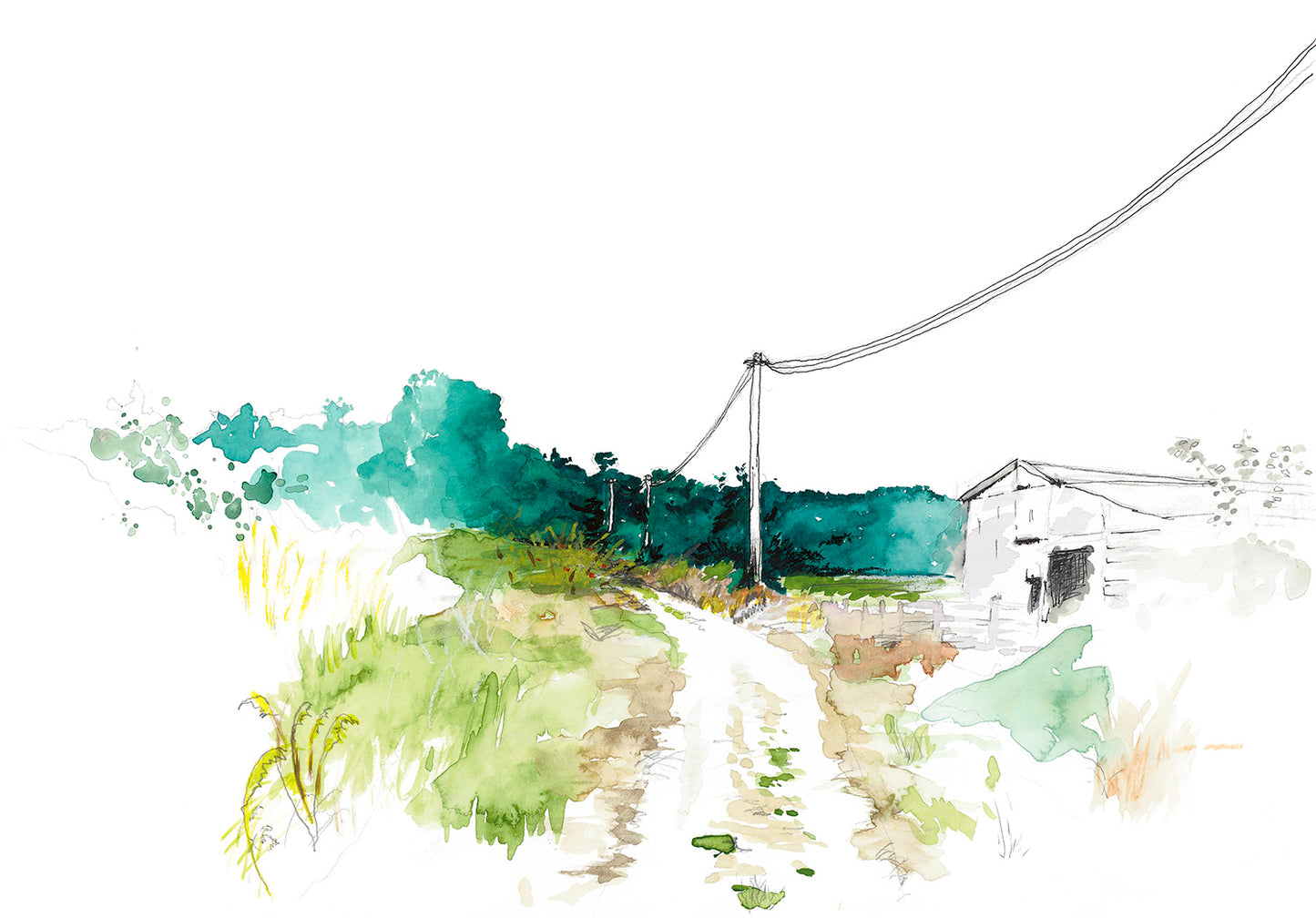 footpath on the south downs with barn and woods in the distance
