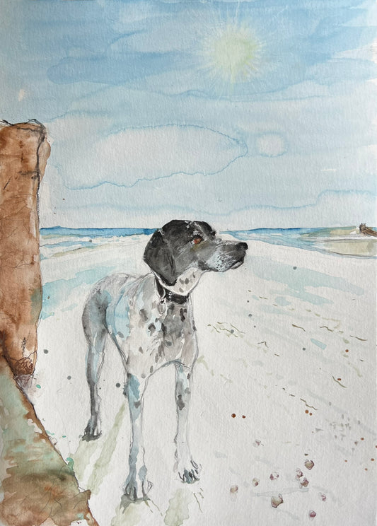 SOLD Dotty the Pointer
