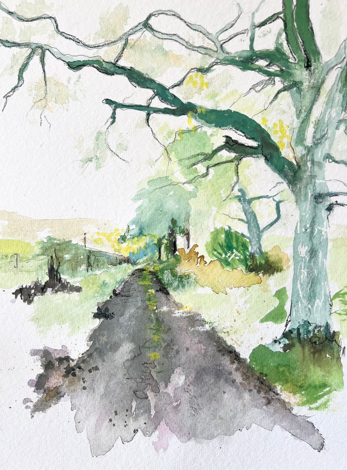 Homeward